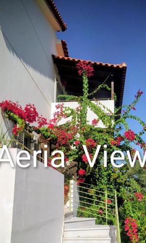 Eva Apartment | Aeria View
