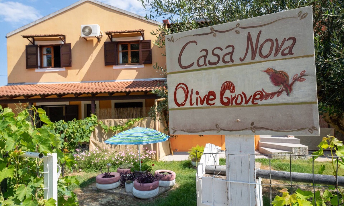 Molos Apartment | Apartment 'Casa Nova Olive Grove' with Sea View, Wi-Fi and Air Conditioning