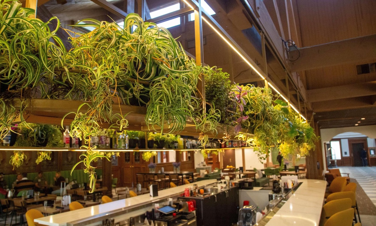 Bay City Hotel | Bay Valley Resort, a Wyndham Hotel