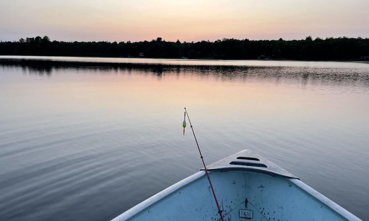 Lake Linden House | Beautiful Wooded Lakefront Property with 5 bedrooms and 3 full baths!