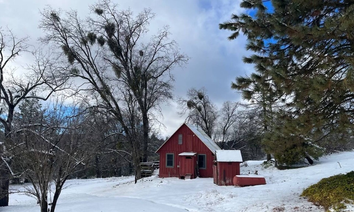 Dunlap Cabin | EV Charging - Cozy Private Cabin 12 minutes from Kings Canyon National Park