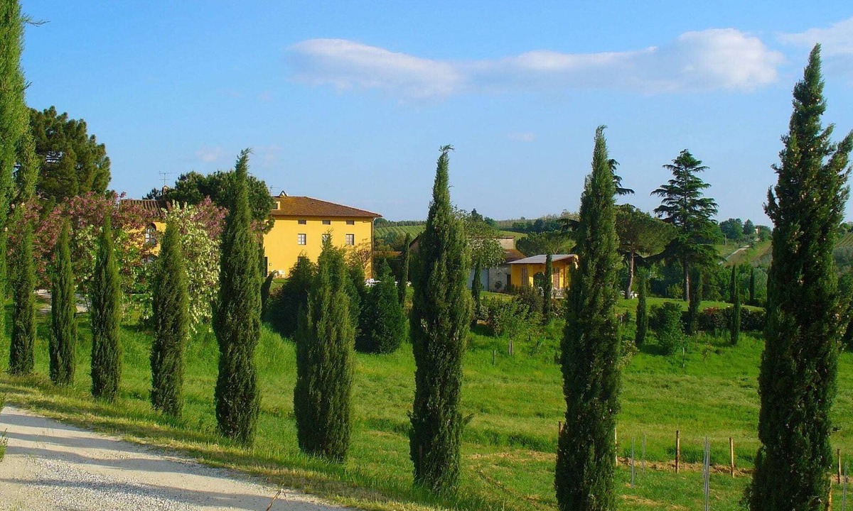 Vinci House | Farmhouse in Vinci near Leonardo Museum