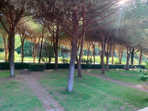 Principina a Mare Apartment | La Principina