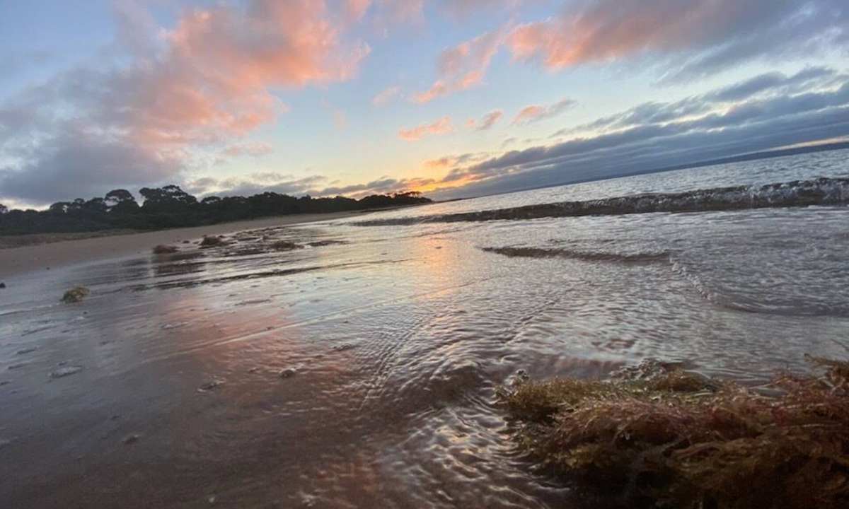 Cowes Cabin | Pet friendly Tiny bungalow - 5 minute walk to the beach!