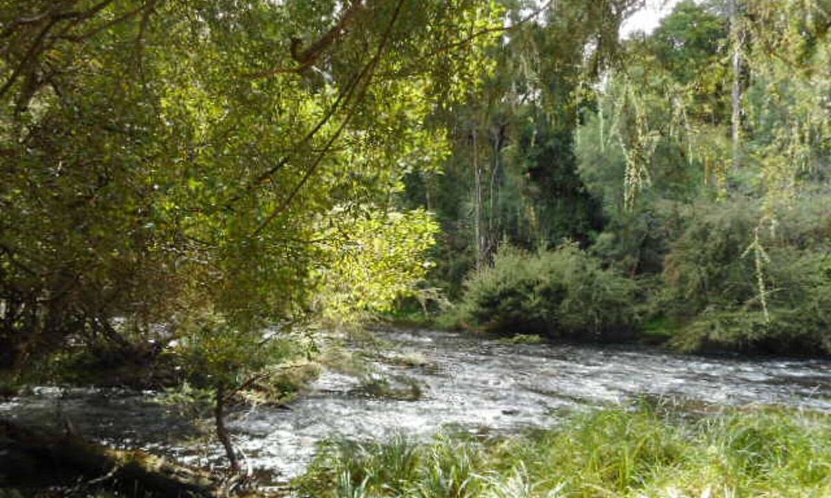 Warburton Apartment | Platypus Den in Warburton