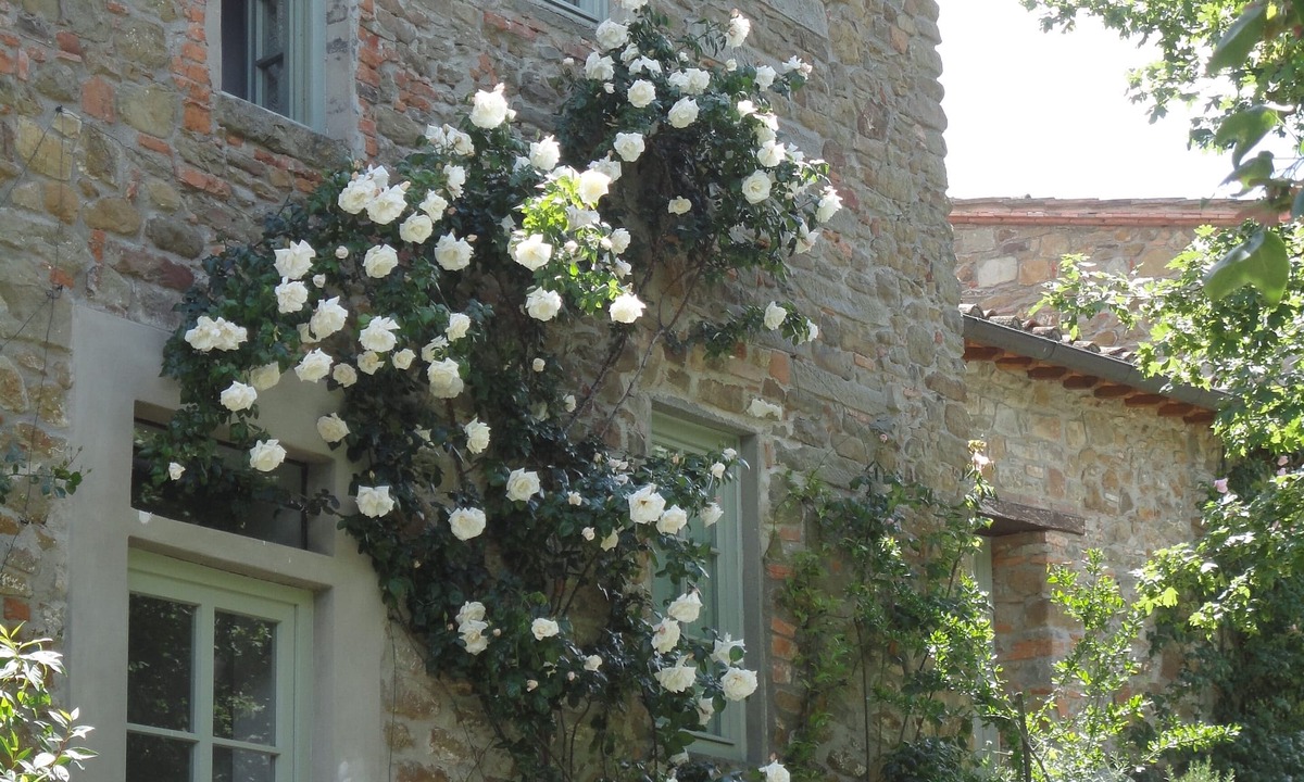 Poggio Alla Croce House | Stop and stay in Chianti! The Bracconiere