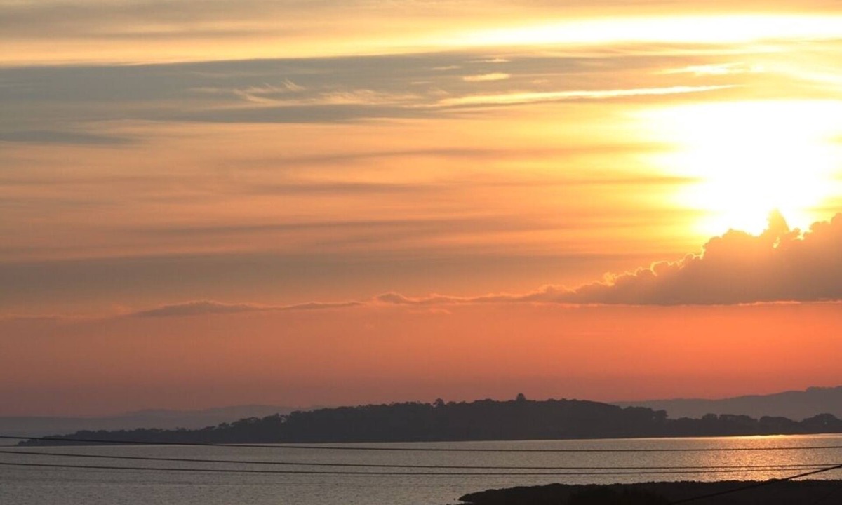 Surf Beach House | Stunning views overlooking Swan Bay - 250m to surf beach-pet friendly and fenced