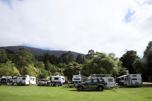 Warburton Other | Warburton Holiday Park