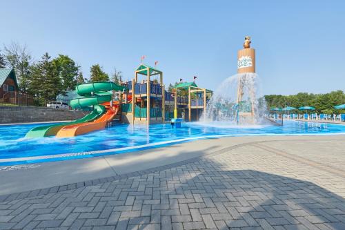 North Java Other | Yogi Bear’s Jellystone Park™ Western New York