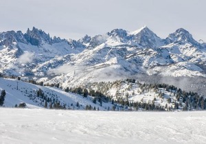 Aspen Creek #204