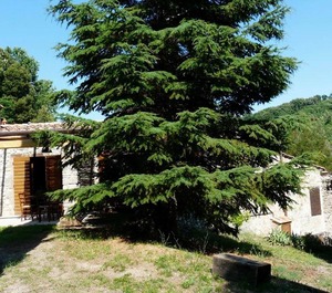 Holiday Pomaia Persons Bedrooms 