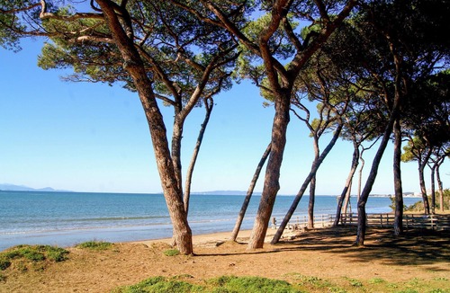 Piombino Apartment | 1 bedroom beautiful apartment in Piombino