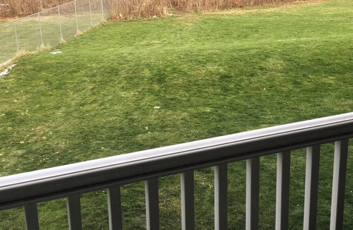 Grand Rapids Apartment | 2 BR 2 BA Cozy Retreat Near Everything