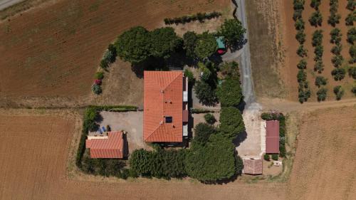 Bibbona House | Agriturismo I Debbi