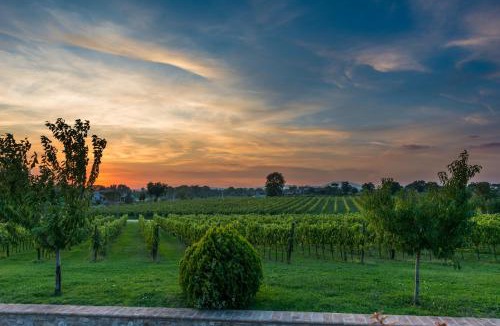 Palazzo House | Agriturismo Il Cantico di San Francesco