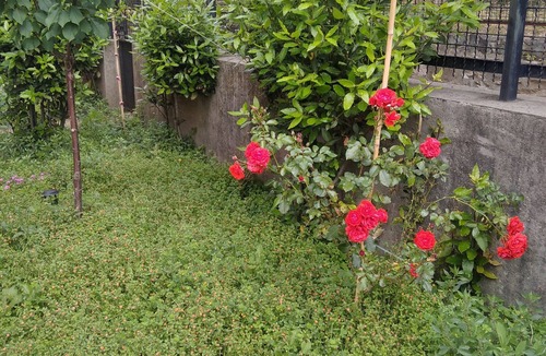 San Teodoro Apartment | Apartment 'Al Giardino Da Teresina' with Private Garden and Air Conditioning