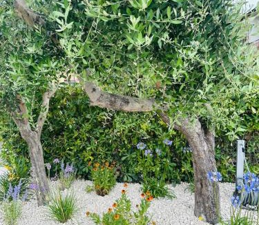 Marcelli Apartment | Appartamento Sole