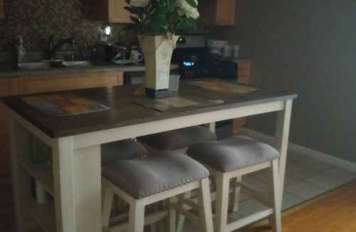 Jackson Park Highlands Condo | Beautiful condo with AC in vibrant Chicago 10 mins to beach. 10 mins to downtown