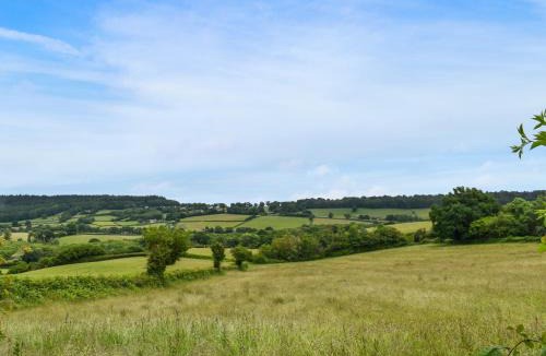 Chepstow Apartment | Bryn Cosyn