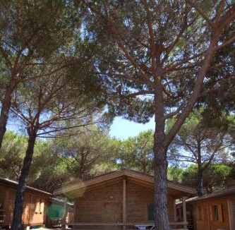 Orbetello Other | Camping Village Africa