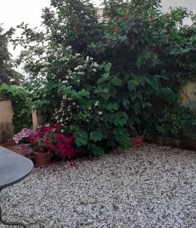 Corsanico-Bargecchia House | Casa Ortensia