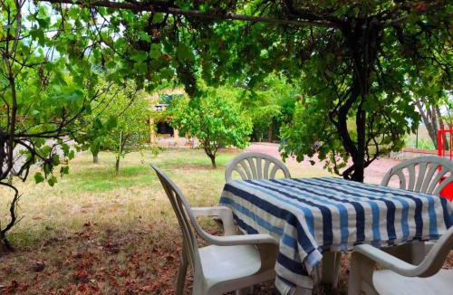 Collesalvetti Apartment | Casolare toscano immerso nel verde