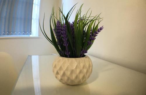Dudley Apartment | Castle Terrace (B3 R4)