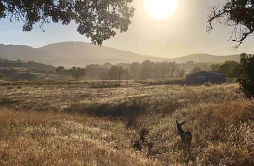 Tehachapi House | Charming Farmhouse in a Travel Trailer