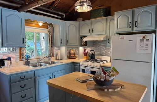 Kalkaska Cabin | Charming Lakefront Cabin with Gorgeous Views, Kayaks and Lakeside Fire Pit