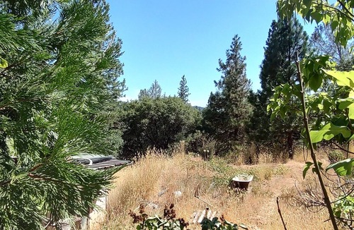 Nevada City Cabin | Charming tinyhome near the wild and scenic Yuba river!