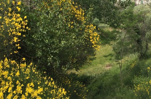 Poggio Alla Croce House | Chianti, only 18 km from Florence, vineyard, olives groves, wildlife Great view