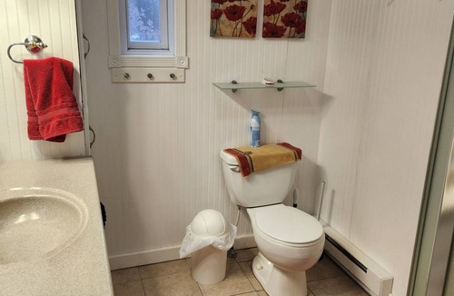 Canadian Lakes Ski Chalet | Cozy Cottage at Canadian Lakes