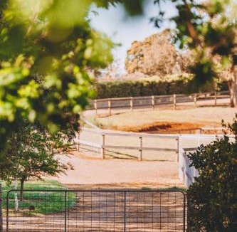Seville Bed & Breakfast | Dalblair Bed & Breakfast