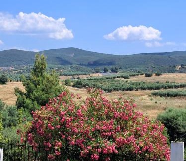 Vatopedi Villa | Elia House
