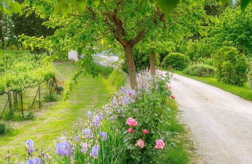 Spello Apartment | Farmhouse holidays in Umbria, the green heart of Italy, amongst art and nature.
