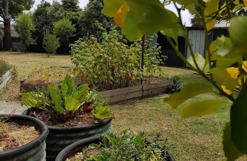 Wonthaggi House | Garden Cottage, Dog Friendly. Wonthaggi.