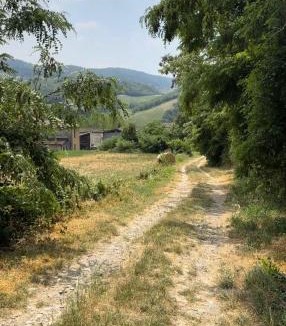 Val di Nizza House | Granaja