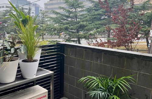 Heidelberg Apartment | Ground Floor Apartment close to Hospitals Centre of Heidelberg Free PARKING