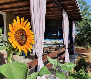 Pylos-Nestoras Cabin | Hakuna Matata Holidays Agalia with airco & pool in Greek Olive Grove