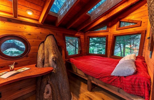 Half Moon Bay Cabin | Half Moon Bay Glamping Getaway in an Idyllic Tree House and Cabin