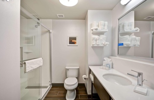 Livonia Hotel | Hampton Inn Livonia Detroit