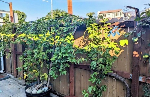 Duarte Apartment | Hidden Gem/Tiny Home w Large 1ba on Rt 66 near City of Hope and Everything