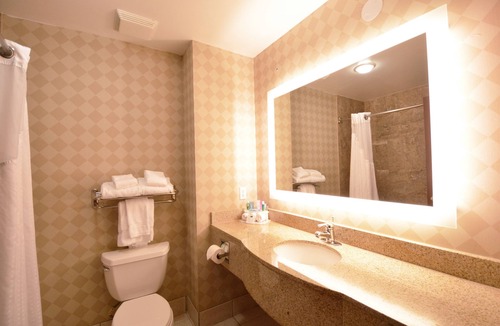 Oregon Hotel | Holiday Inn Express Toledo-Oregon by IHG