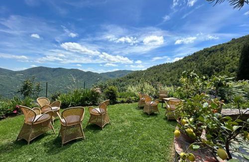 Pieve di Chio Apartment | Il Castellare con alpaca