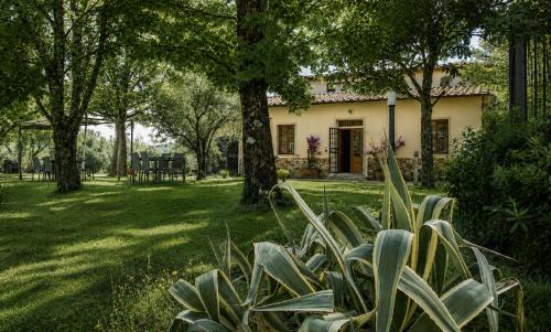 Florence House | Il Sottolo