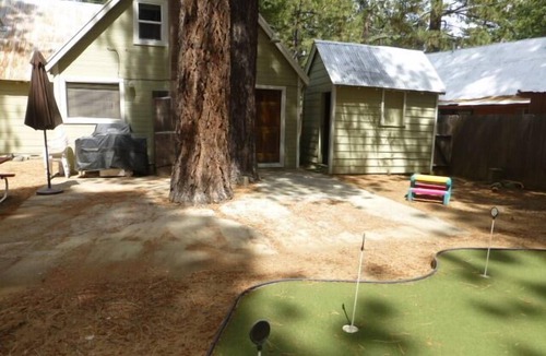 Bijou Pines Cabin | Large family cabin close to everything!