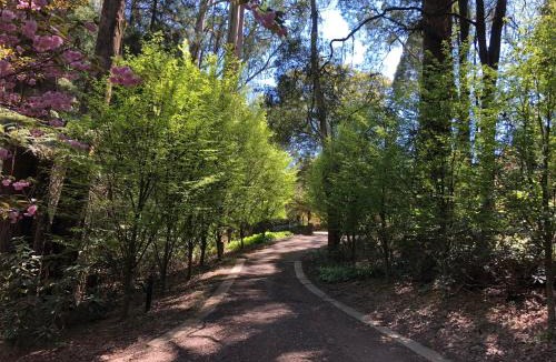 Olinda Resort | Lochiel Cottages - Dandenong Ranges Escape