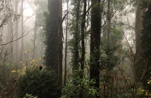 Olinda Resort | Lochiel Cottages - Dandenong Ranges Escape