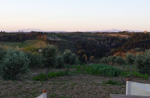 Campofilone House | Mondomini Panoramic Cottage, stunning view on sea, hills and 8500 olive trees