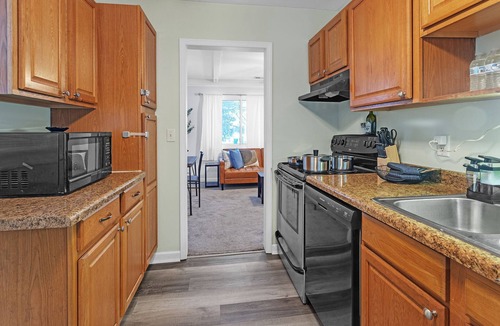 Lansing House | MSU area, 65 inch TV, elevated deck, pets welcome, full kitchen, TV in bedroom.